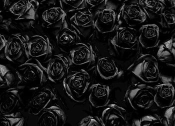 Canvastavla - Roses