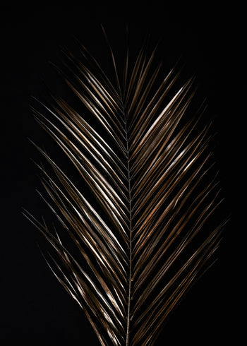 Ljuddämpande tavla - Areca