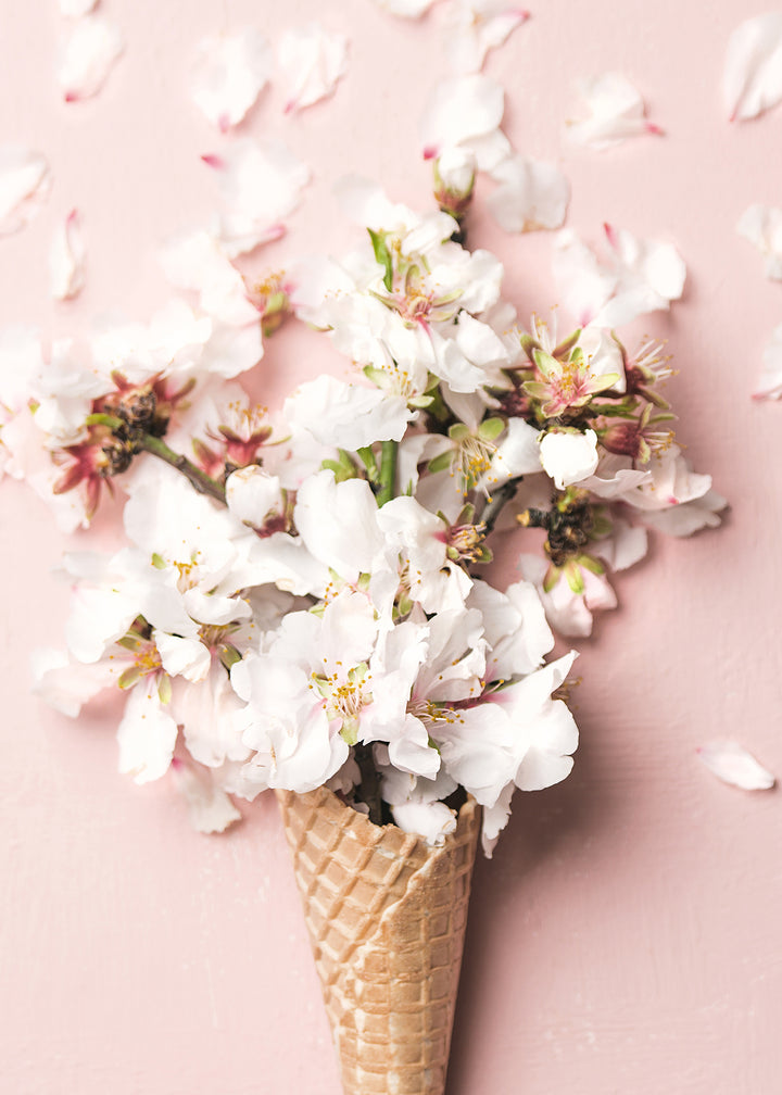 Canvastavla - Flower Cream