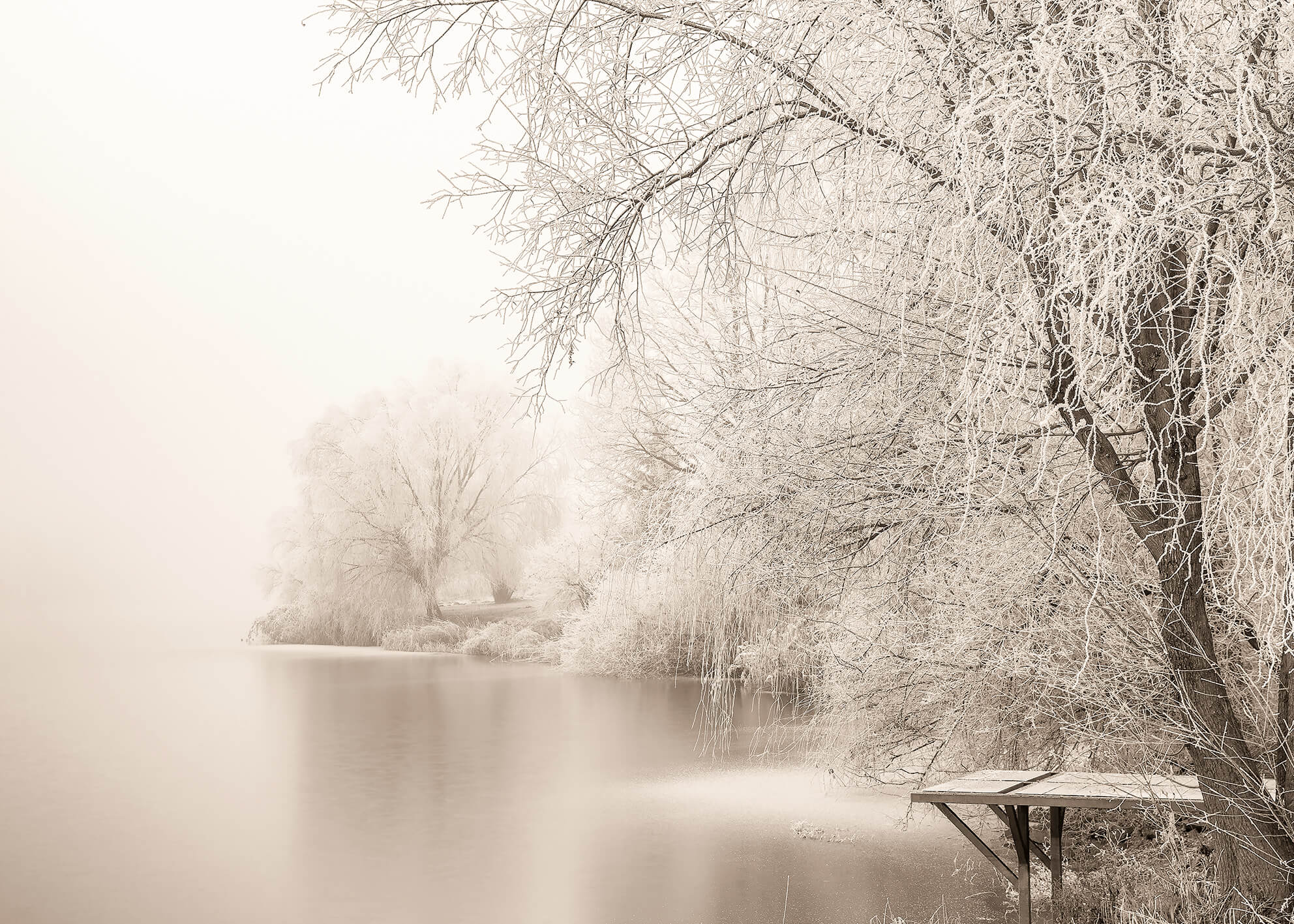 Ljuddämpande tavla - Frozen Tree