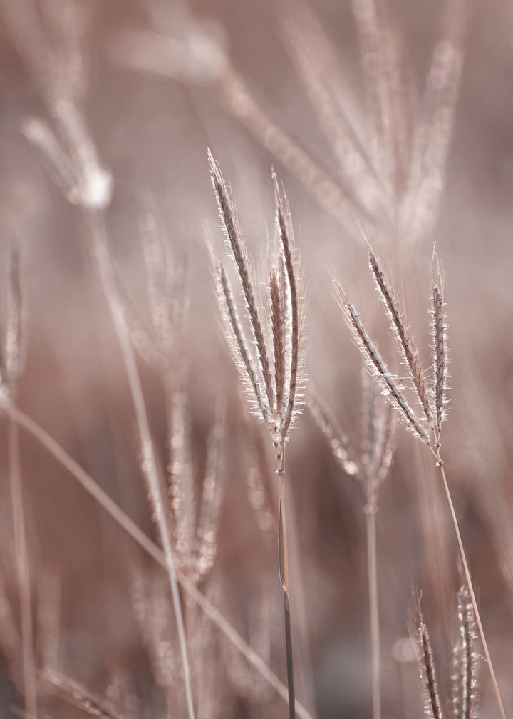 Ljuddämpande tavla -  Nature symphony