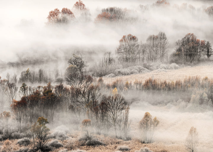 Ljuddämpande tavla - Misty Grove
