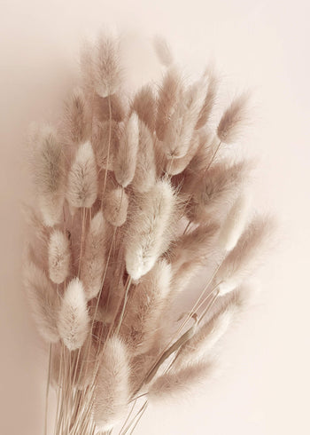 Canvastavla - Soft Pampas No1 (80x120)