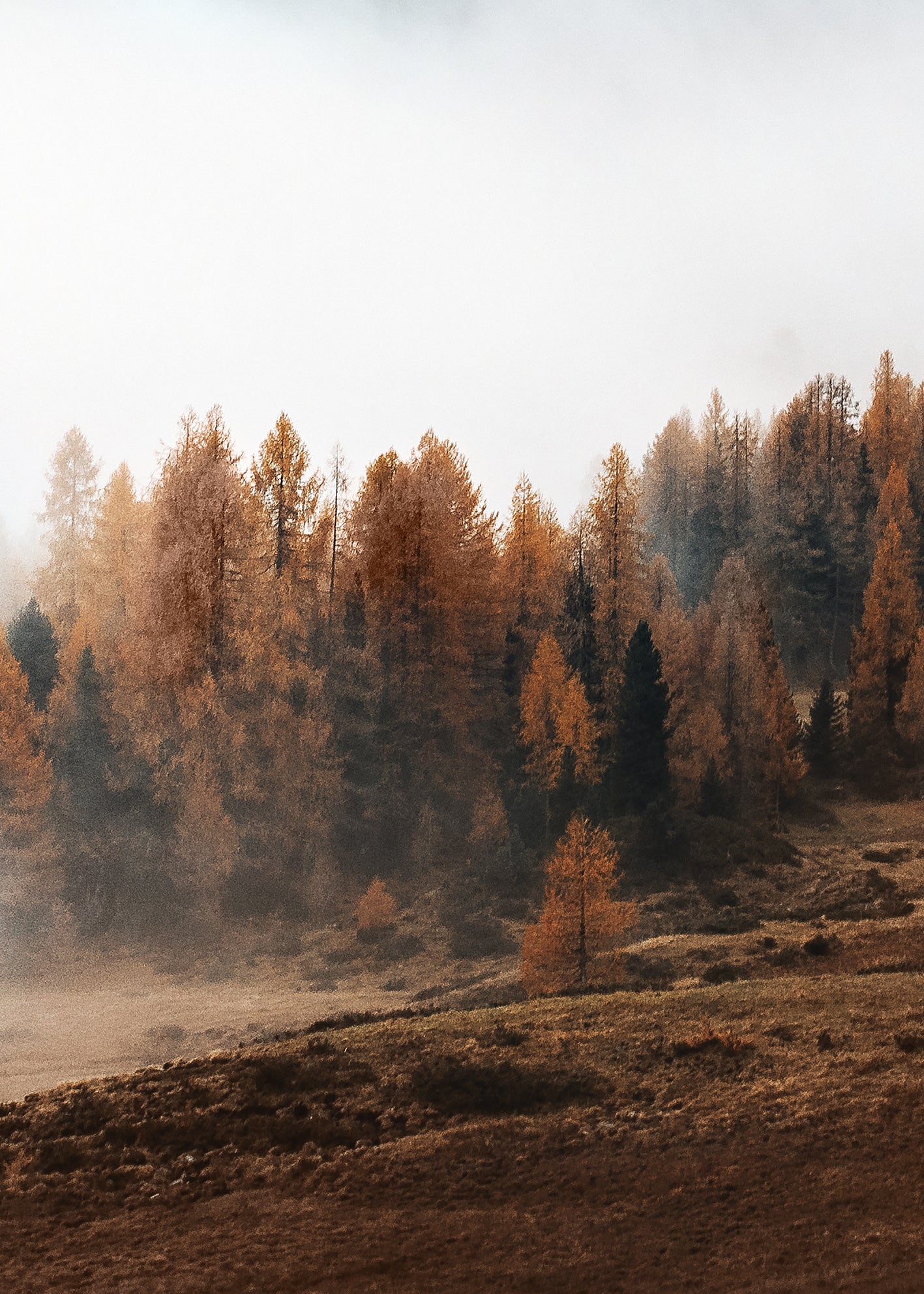 Ljuddämpande tavla  - Hazy Mountains