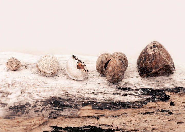 Ljuddämpande tavla - Natural Storyline