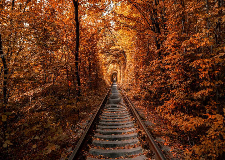 Ljuddämpande tavla - Tunnel of Autumn