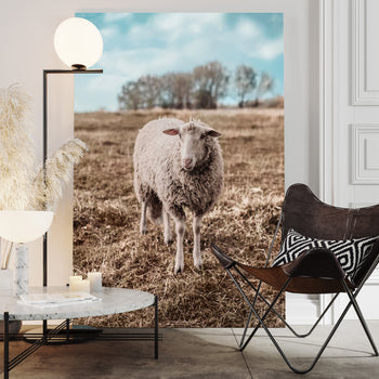 Ljuddämpande tavla - Sheep